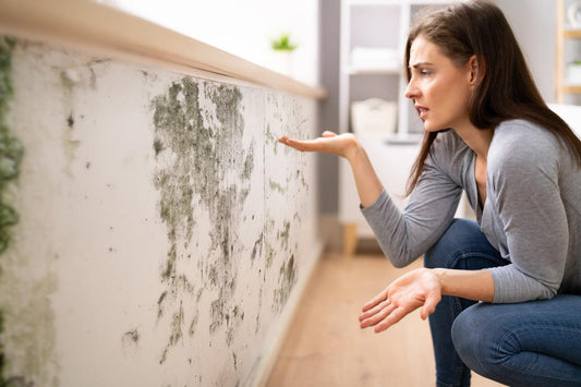 Got Mold? How to Know if You’re Allergic to Mold and How to Reduce Mold and Keep Mold from Spreading in Your Home - Brio, the innovative air purifier