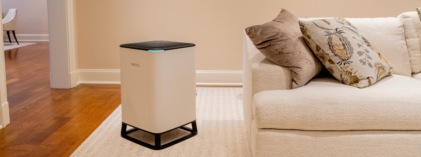 Brio, the innovative air purifier