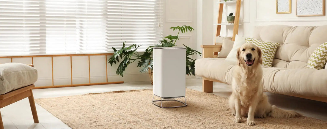 How To Make Your Home Air Purifier More Effective