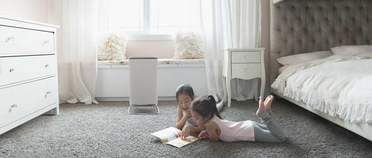 Brio removes dust and dust mites, to keep your air healthy.