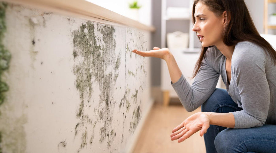 Got Mold? How to Know if You’re Allergic to Mold and How to Reduce Mold and Keep Mold from Spreading in Your Home - Brio, the innovative air purifier