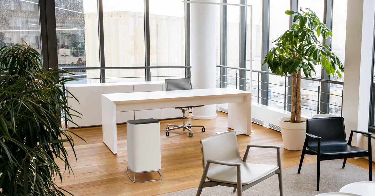 Air Purifiers for the Office