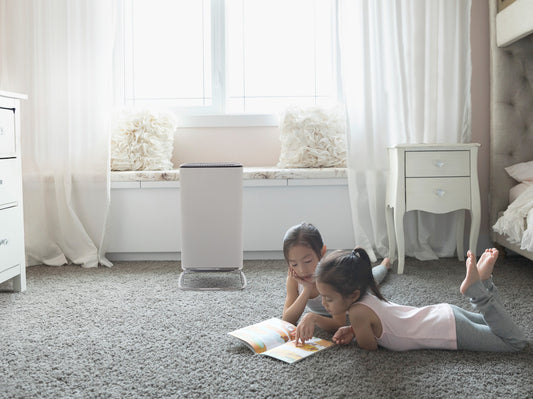 Brio Air Purifier and Filters