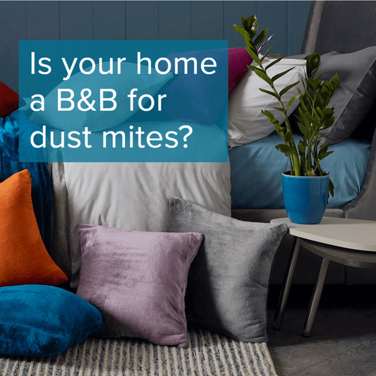 Air Purifiers for Dust Mites and Dust Allergies