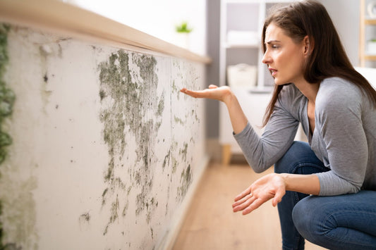 Air purifiers for mold and bacteria
