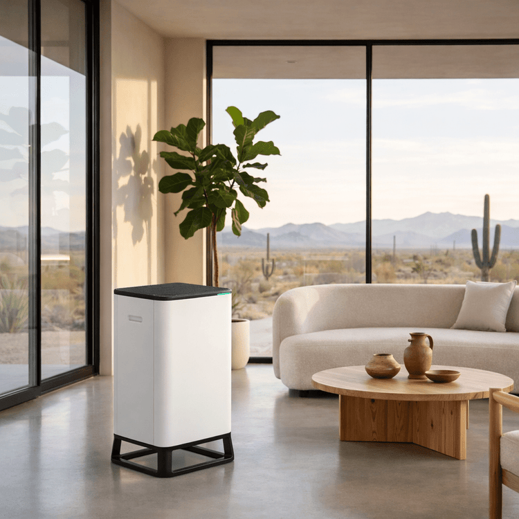 Brio 650 Room Air Purifier