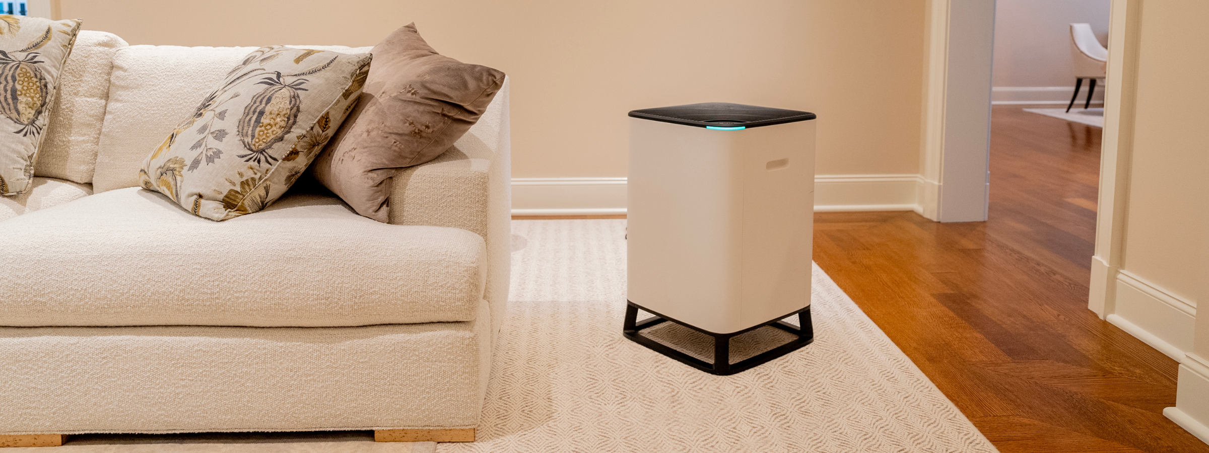 Brio, the innovative air purifier