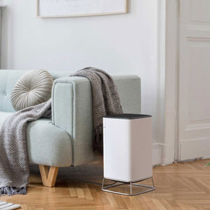  Brio the innovative air purifier quickly removes invisible dust, pollen, smoke, mold spores, viruses, germs, and pet dander